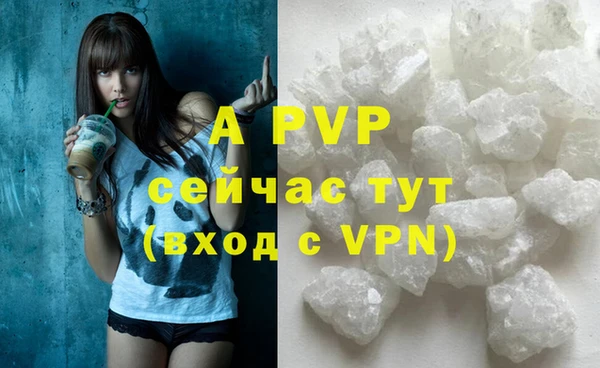 apvp Алзамай