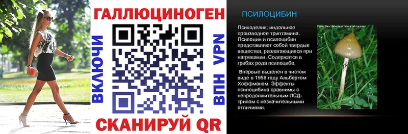 Псилоцибиновые грибы Psilocybine cubensis Александровск-Сахалинский